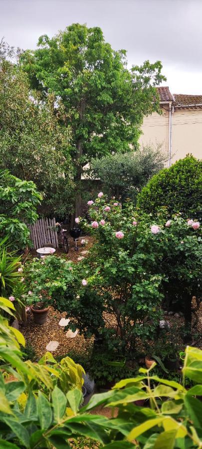 Villa Fontilha Usclas-l'Herault Zewnętrze zdjęcie